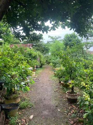 Bất động sản tại Đắk Lắk - ảnh 1