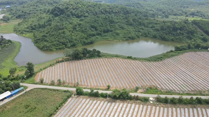 Bất động sản tại Hòa Bình - ảnh 1