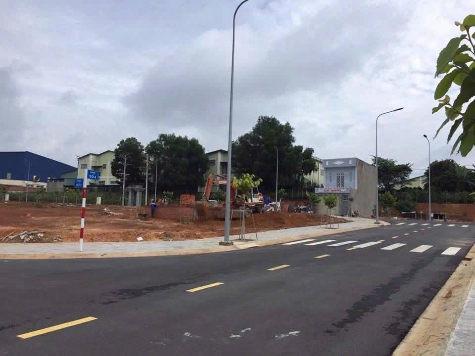 Bất động sản tại Bình Dương - ảnh 1