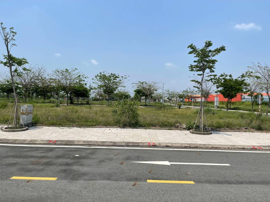 Bất động sản tại Long An - ảnh 1