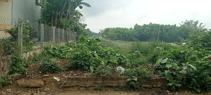 Bất động sản tại Đà Nẵng - ảnh 1