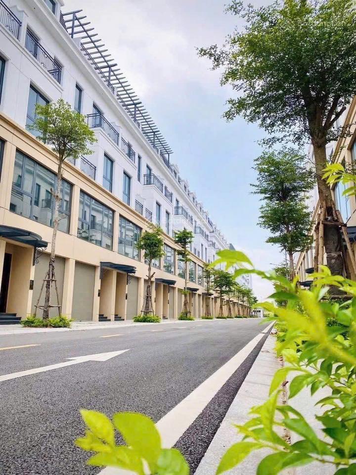 Bất động sản tại Bạc Liêu - ảnh 1