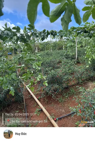 Bất động sản tại Đắk Lắk - ảnh 1