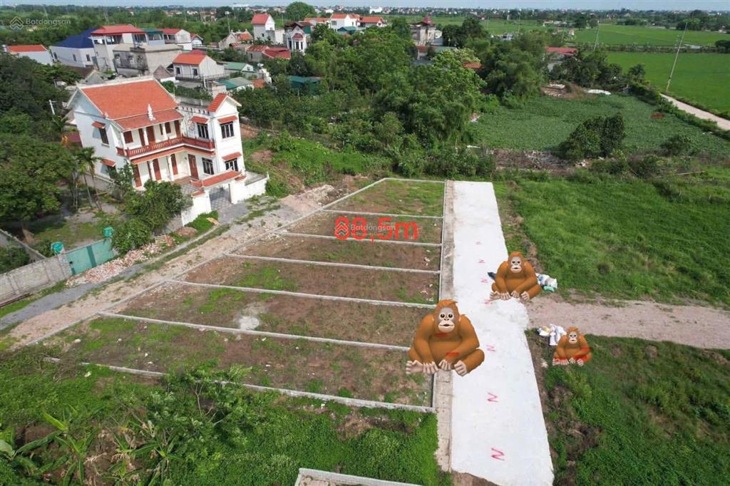 Bất động sản tại Hà Nội - ảnh 1