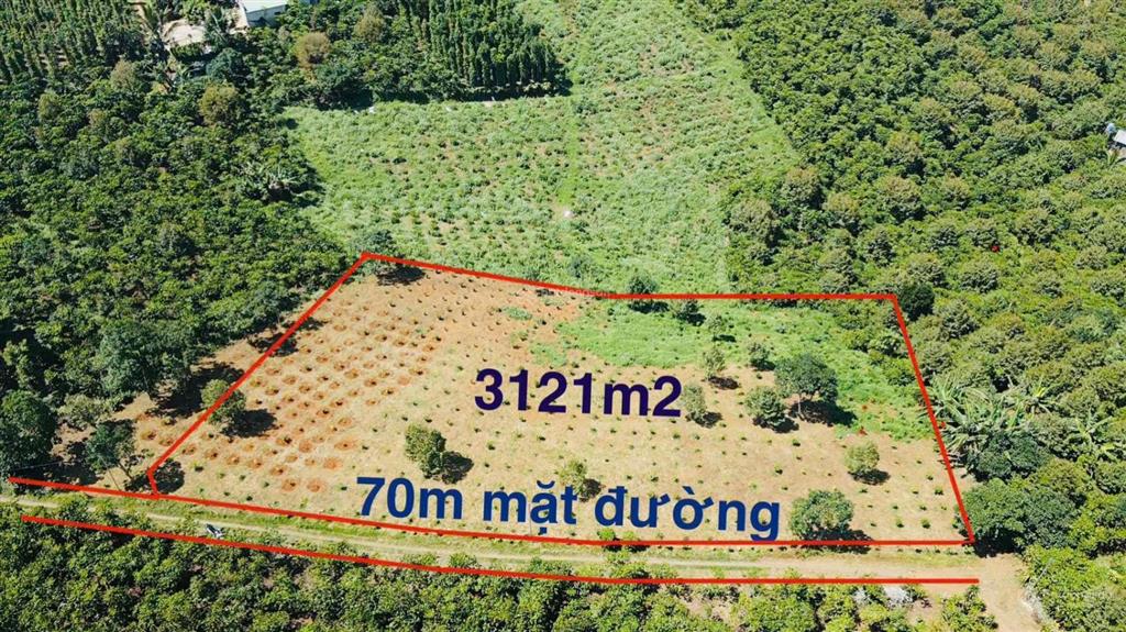 Bất động sản tại Lâm Đồng - ảnh 1