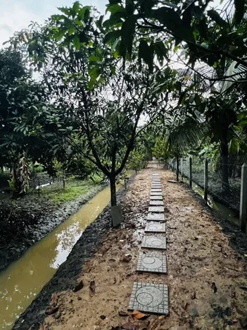Bất động sản tại Bình Dương - ảnh 1