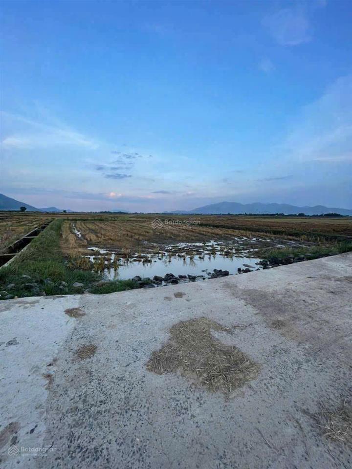 Bất động sản tại Khánh Hòa - ảnh 1