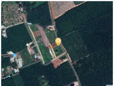 Bất động sản tại Bình Dương - ảnh 1