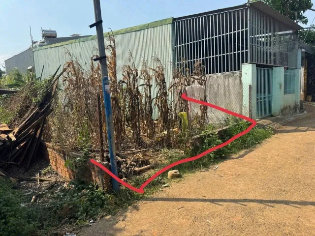 Bất động sản tại Đắk Lắk - ảnh 1