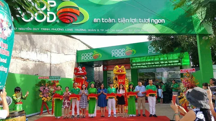 Bất động sản tại TP. Hồ Chí Minh - ảnh 1