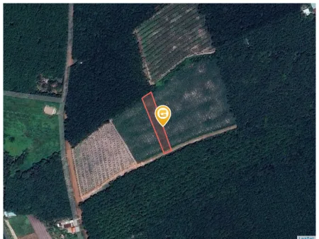 Bất động sản tại Bình Dương - ảnh 1