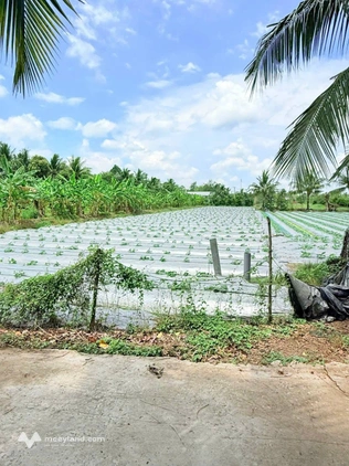 Bất động sản tại Cần Thơ - ảnh 1