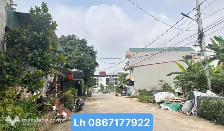 Bất động sản tại Phú Thọ - ảnh 1