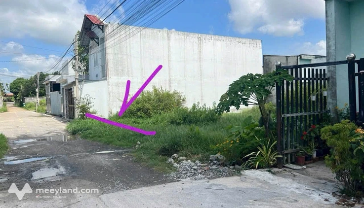 Bất động sản tại Long An - ảnh 1