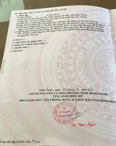 Bất động sản tại Bình Phước - ảnh 1