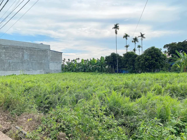 Bất động sản tại Hải Phòng - ảnh 1