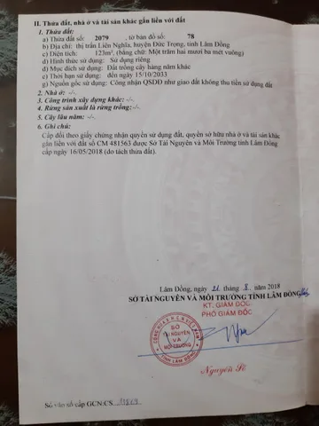 Bất động sản tại Lâm Đồng - ảnh 1
