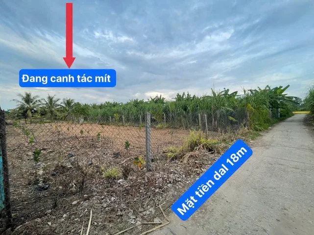 Bất động sản tại An Giang - ảnh 1