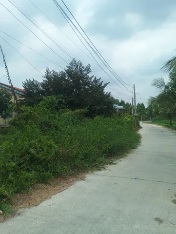 Bất động sản tại Long An - ảnh 1