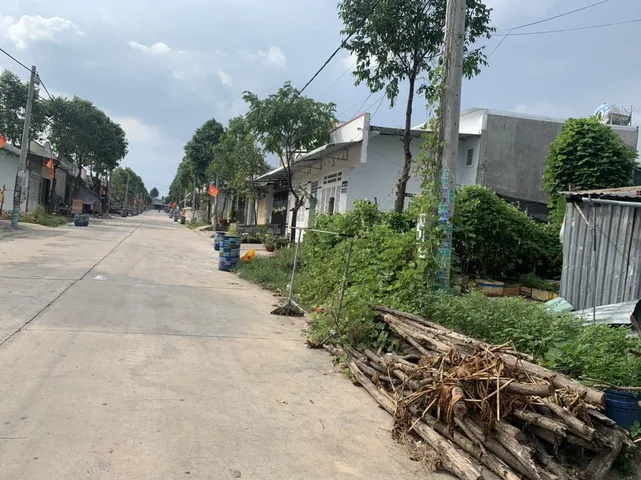 Bất động sản tại Bình Dương - ảnh 1