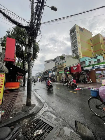 Bất động sản tại TP. Hồ Chí Minh - ảnh 1