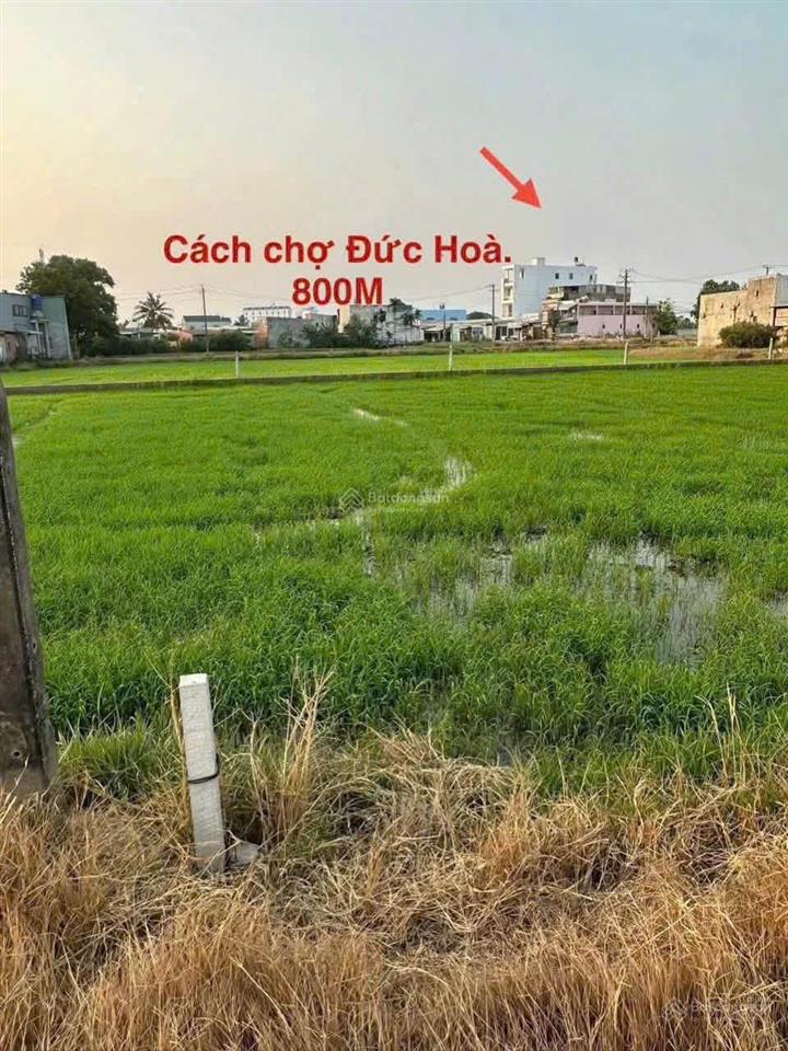 Bất động sản tại Long An - ảnh 1