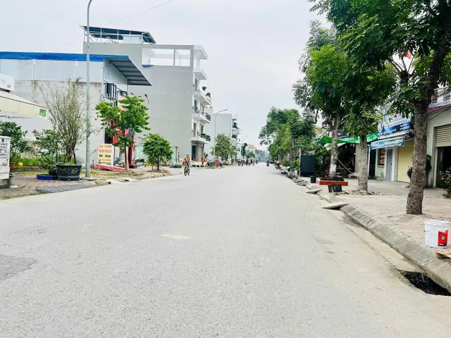 Bất động sản tại Hải Phòng - ảnh 1