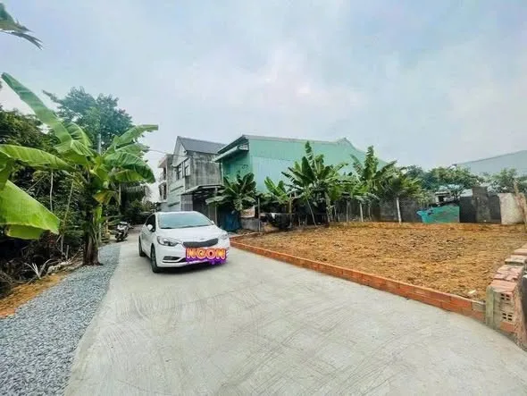 Bất động sản tại Bình Dương - ảnh 1