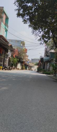 Bất động sản tại Bắc Ninh - ảnh 1