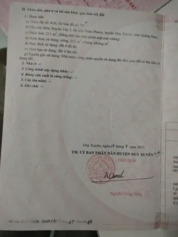 Bất động sản tại Đà Nẵng - ảnh 1