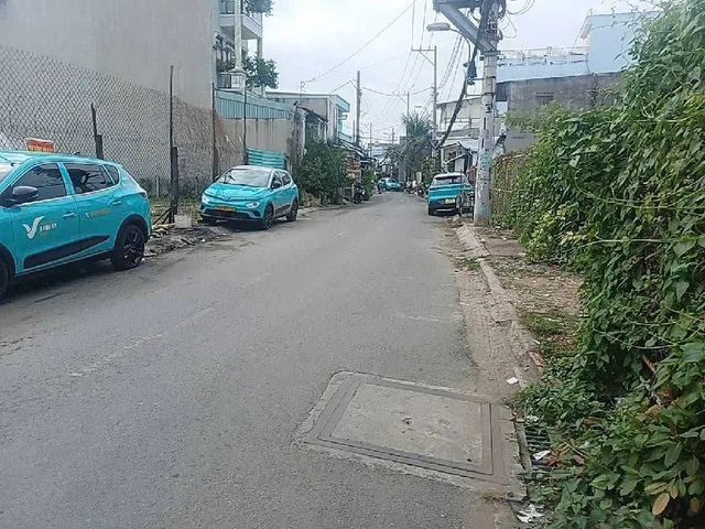 Bất động sản tại TP. Hồ Chí Minh - ảnh 1