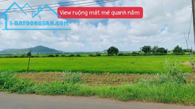 Bất động sản tại Bà Rịa - Vũng Tàu - ảnh 1