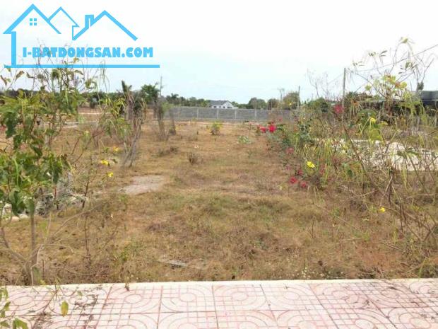 Bất động sản tại Bà Rịa - Vũng Tàu - ảnh 1