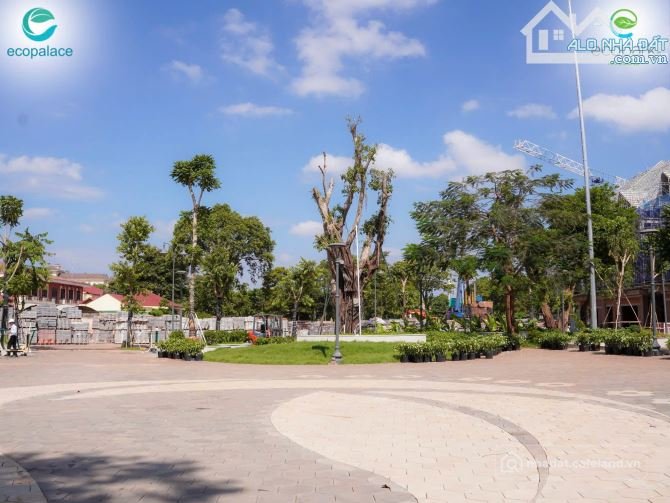 Bất động sản tại Đắk Lắk - ảnh 1