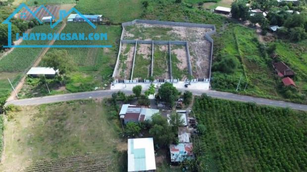 Bất động sản tại Bà Rịa - Vũng Tàu - ảnh 1