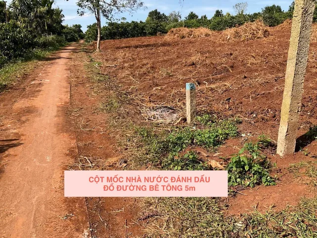 Bất động sản tại Đắk Lắk - ảnh 1