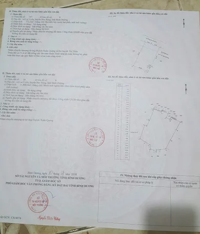 Bất động sản tại Bình Dương - ảnh 1