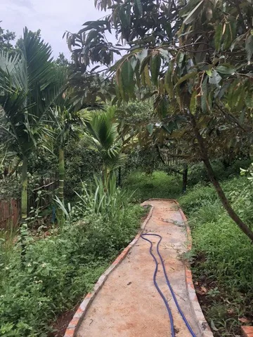 Bất động sản tại Đắk Lắk - ảnh 1