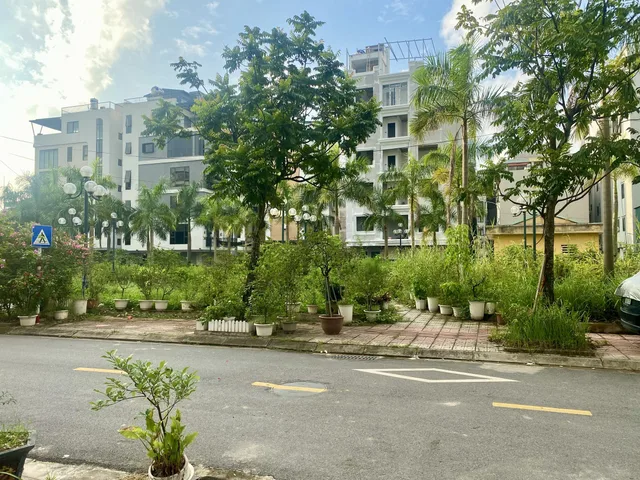 Bất động sản tại Hà Nội - ảnh 1
