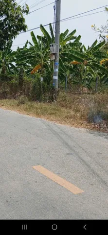 Bất động sản tại Tây Ninh - ảnh 1
