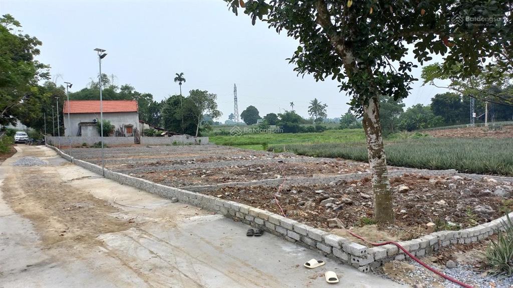 Bất động sản tại Thanh Hóa - ảnh 1
