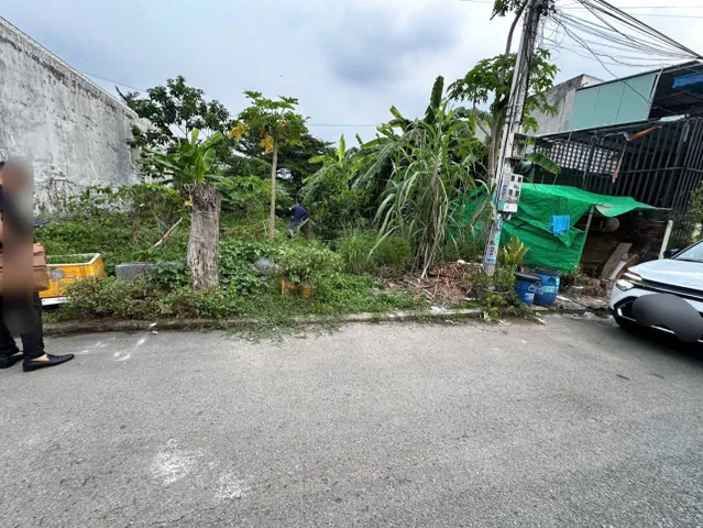 Bất động sản tại Bình Dương - ảnh 1
