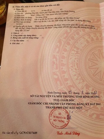 Bất động sản tại Bình Dương - ảnh 1