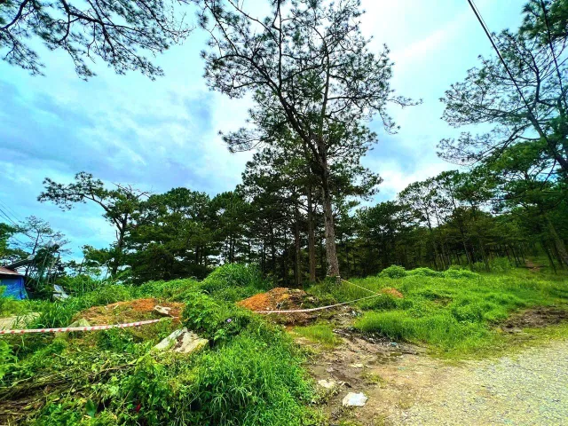 Bất động sản tại Lâm Đồng - ảnh 1