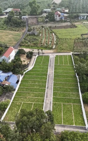 Bất động sản tại Hòa Bình - ảnh 1