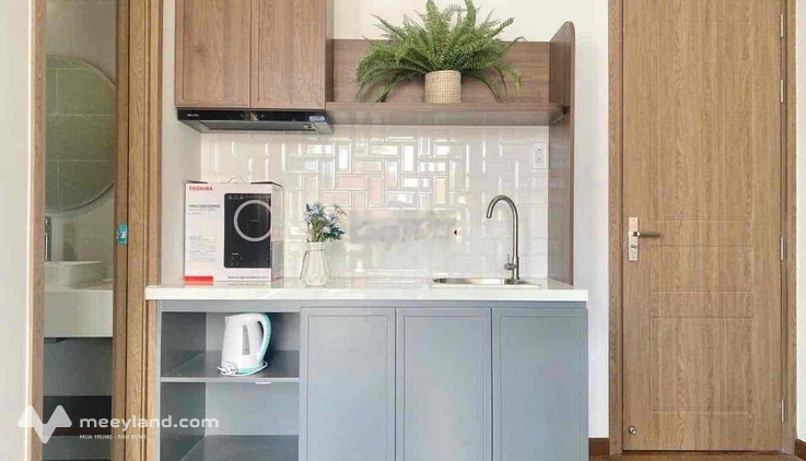 Bất động sản tại TP. Hồ Chí Minh - ảnh 1