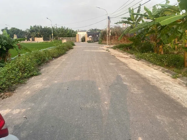 Bất động sản tại Hải Phòng - ảnh 1