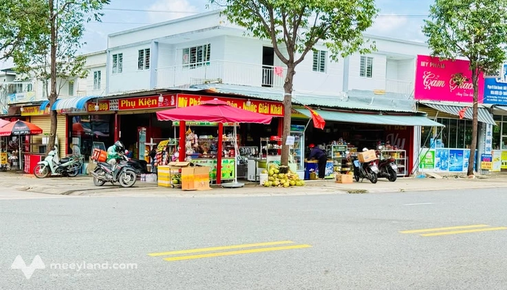 Bất động sản tại Bình Dương - ảnh 1