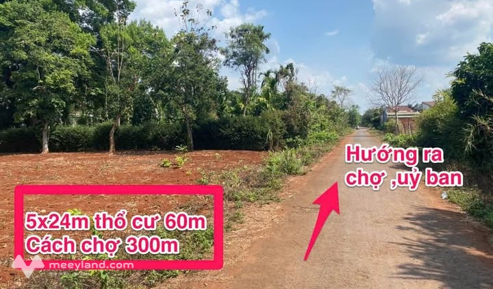 Bất động sản tại Đắk Lắk - ảnh 1