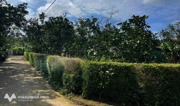 Bất động sản tại Thừa Thiên Huế - ảnh 1